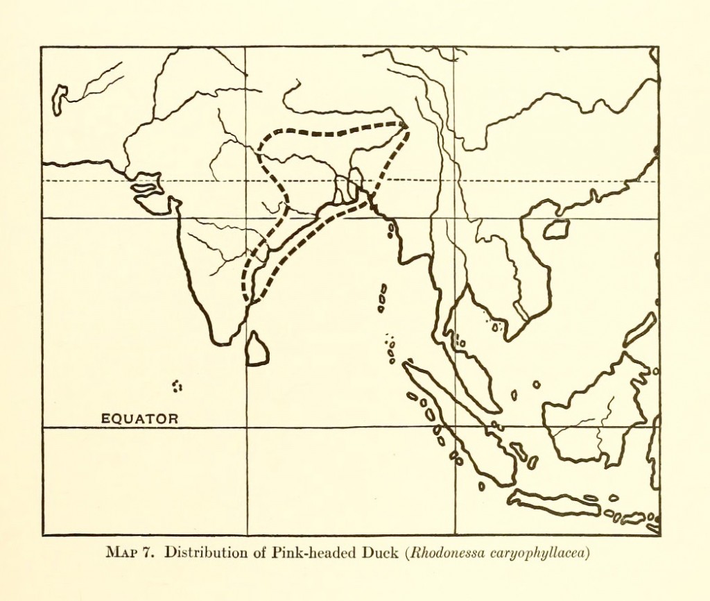 Pink-headed Duck map 1922