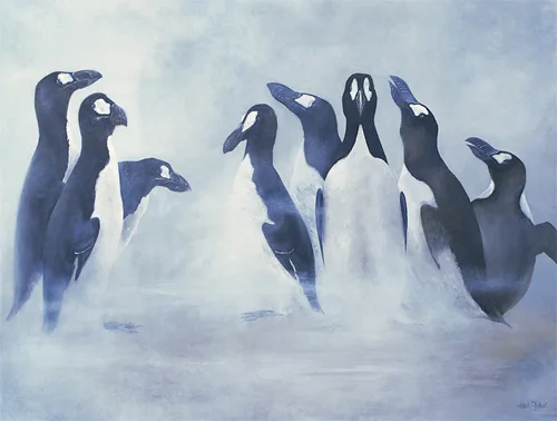 Great Auk