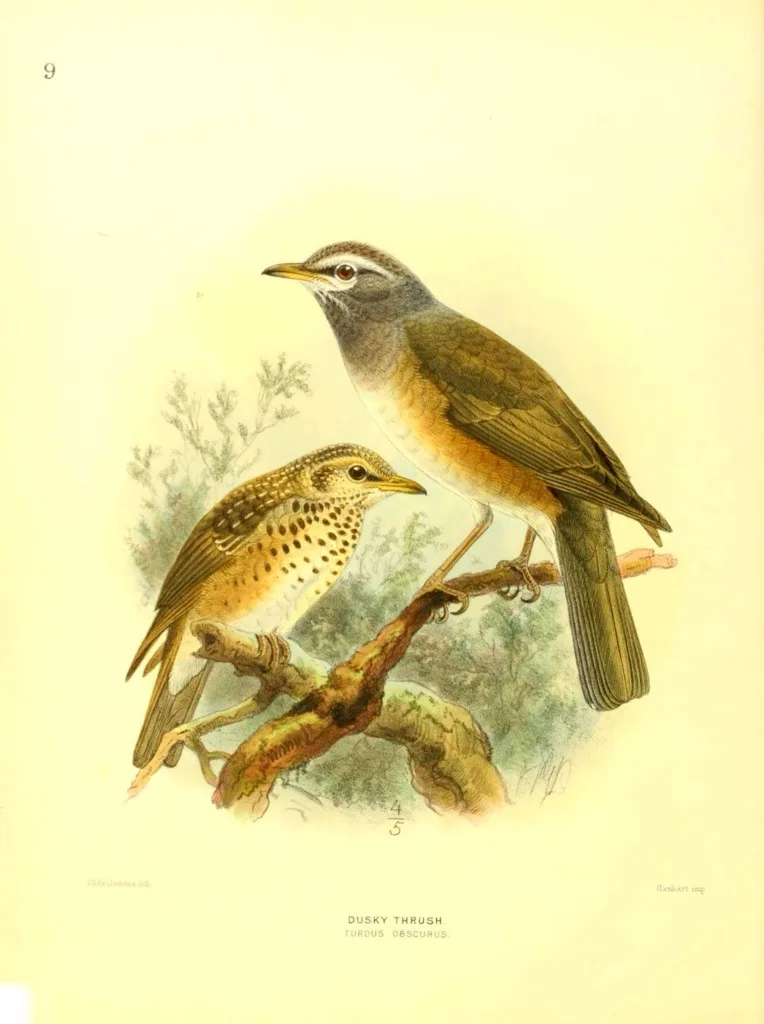 20130501-201543.jpg
