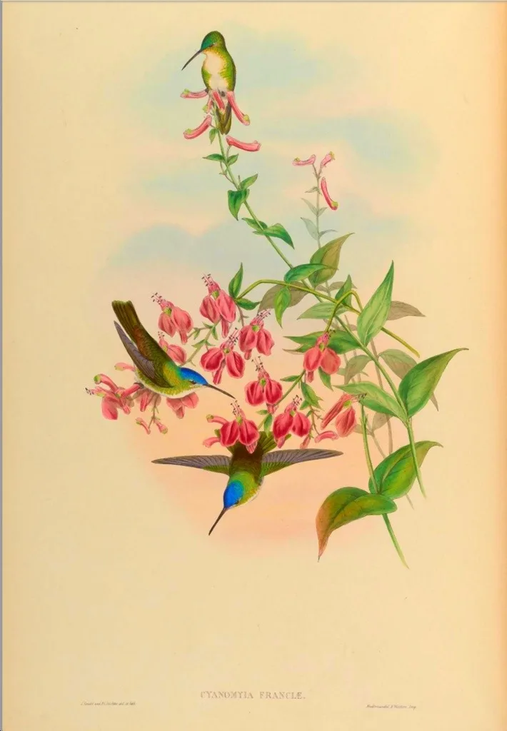 20130501-215834.jpg