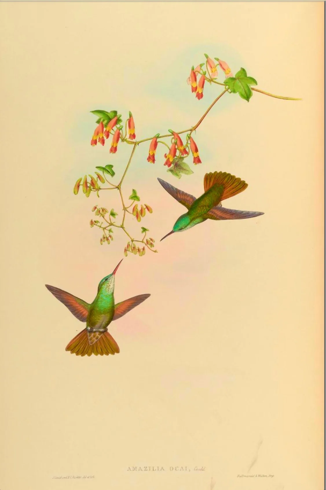 20130501-220954.jpg