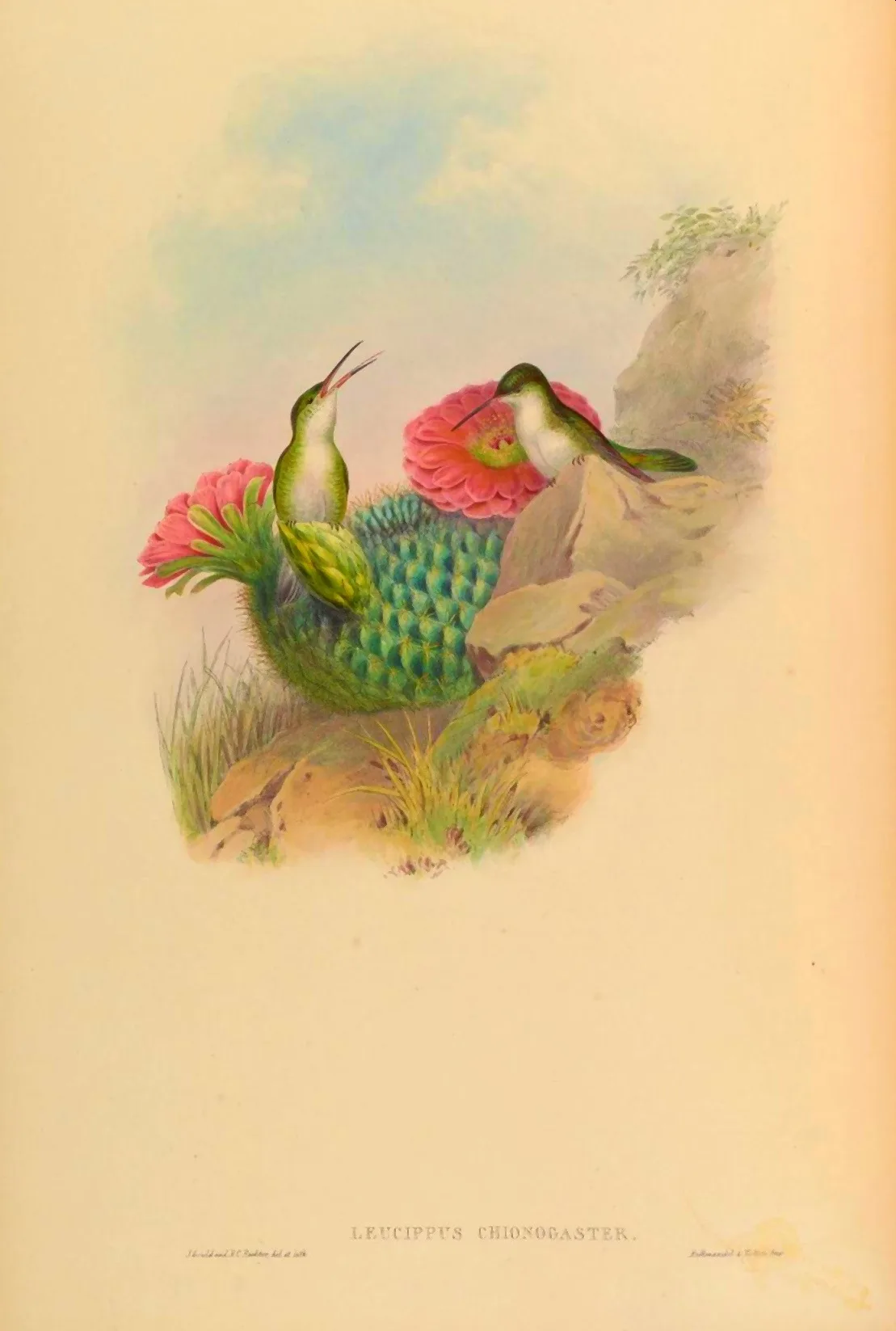 20130501-222426.jpg
