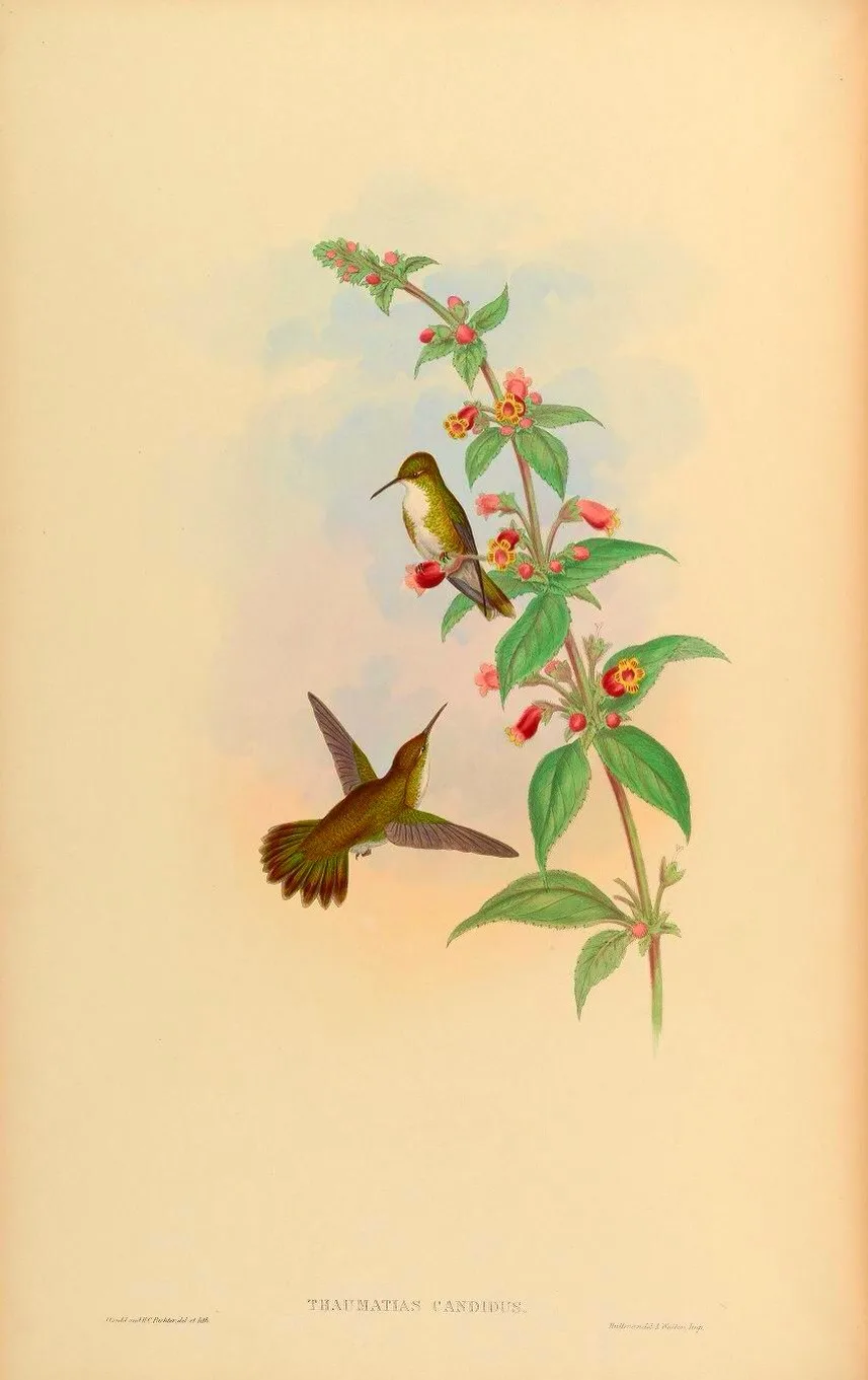 20130501-225158.jpg