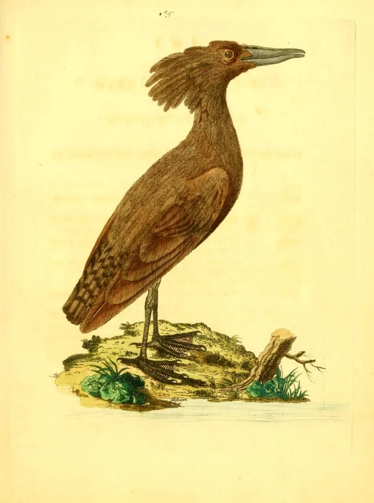20130512-204457.jpg