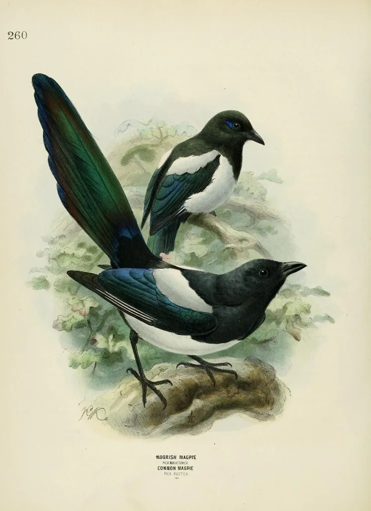 20130517-220458.jpg