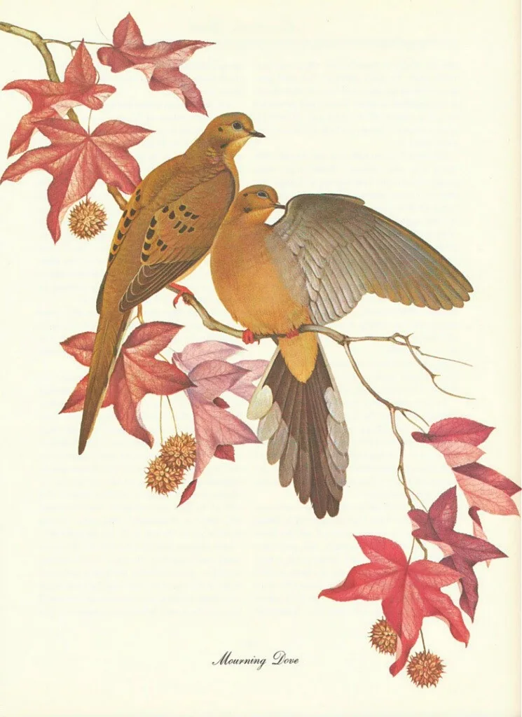 20130520-120442.jpg