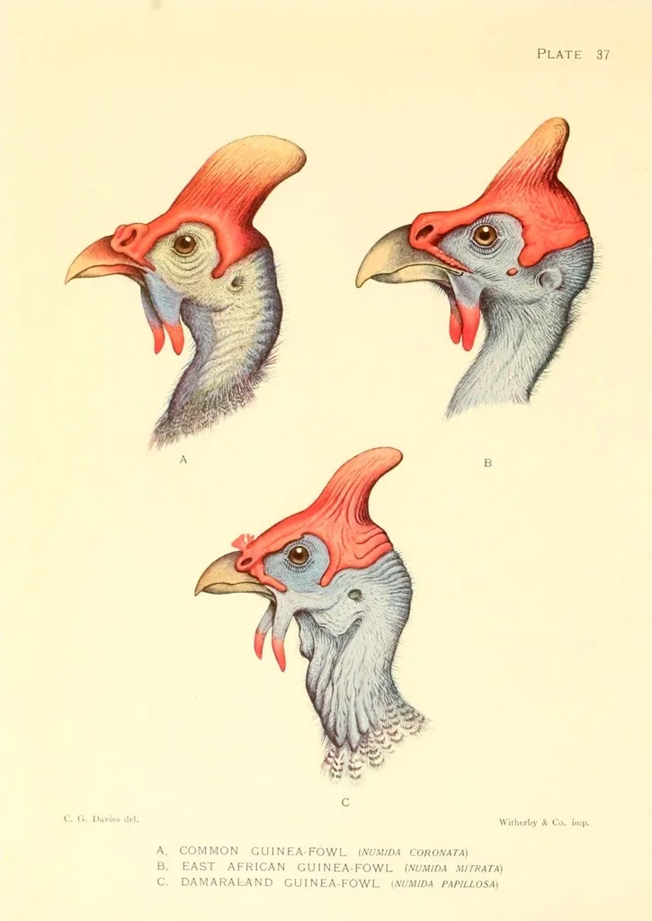 20130520-233836.jpg