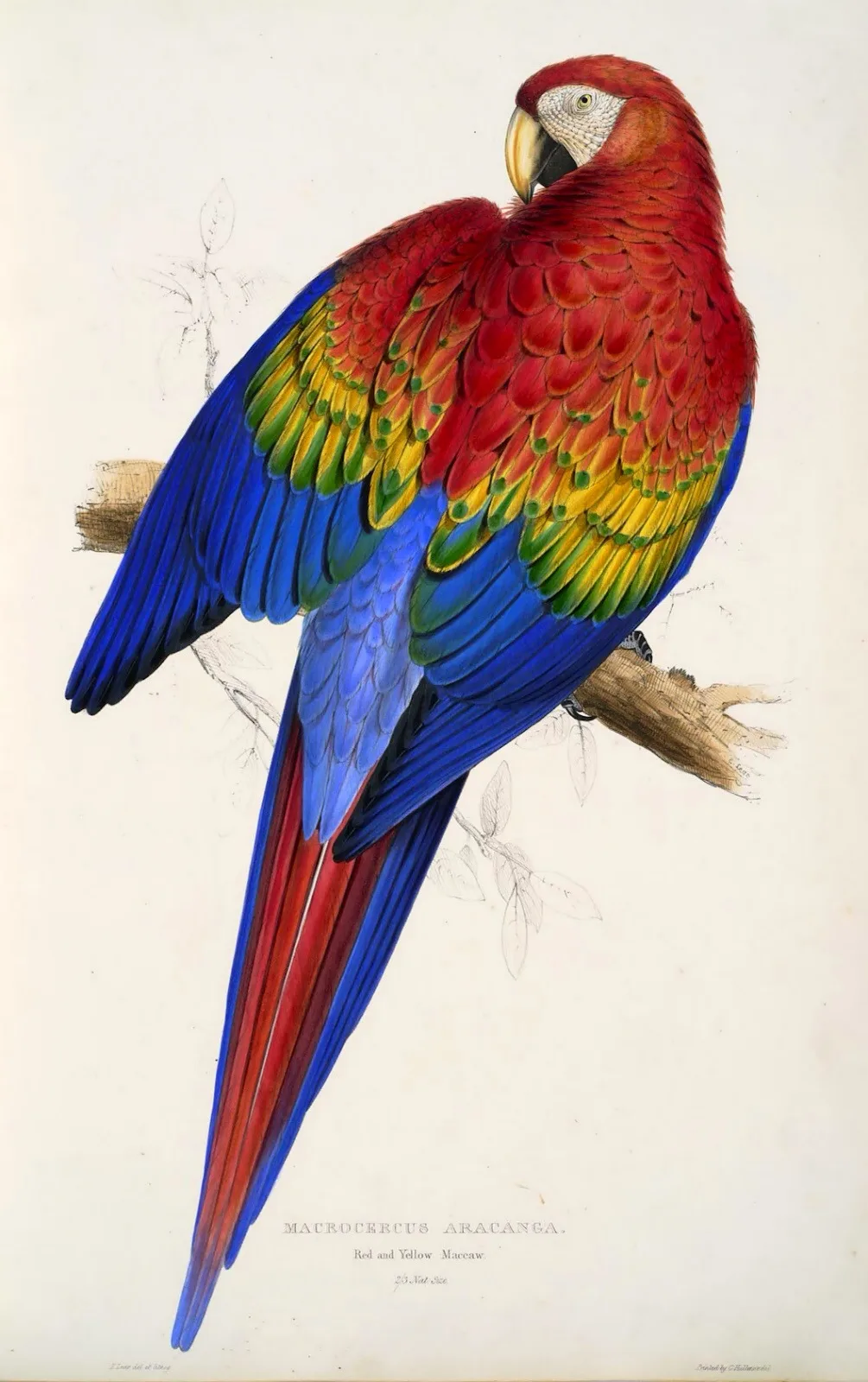 20130522-213605.jpg