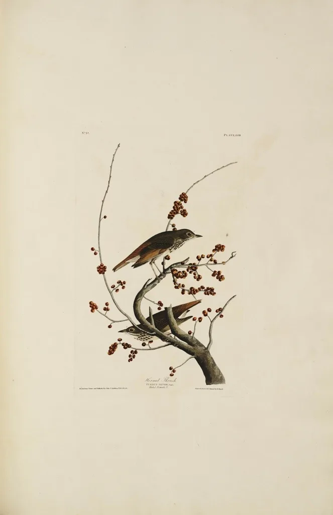 20130525-182509.jpg