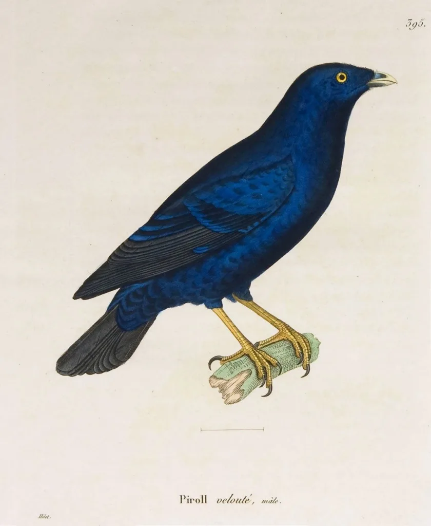 20130528-211257.jpg