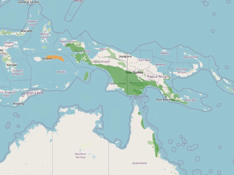 Southern cassowary distribution map