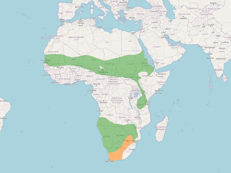 Common ostrich distribution map